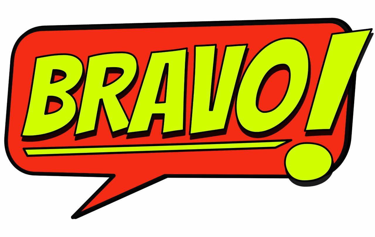 Bravo Company Logo.png